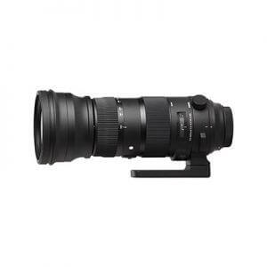 Sigma 150-600mm sport - Nikon